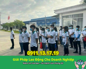 Cung ứng lao động Sóc Trăng — Đối tác tin cậy