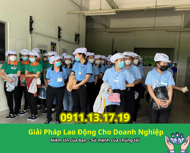 Cho thuê 200 lao động chế biến — Sóc Trăng